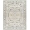 Livabliss Dresden DRE-2309 Area Rug , With Fringe DRE2309-710103 - alternate 1